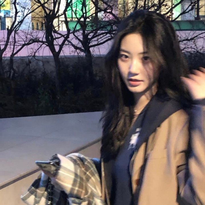 特洛伊艾迪 封面